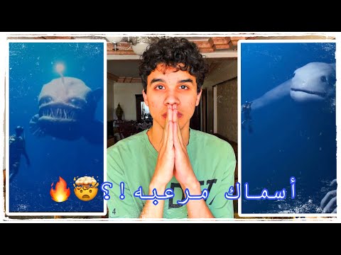 ظهور أسماك غريبه على السوشيال ميديا!🤯🔥