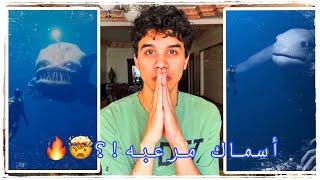 ظهور أسماك غريبه على السوشيال ميديا!🤯🔥