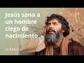 Interrogantes sobre la sanación del ciego