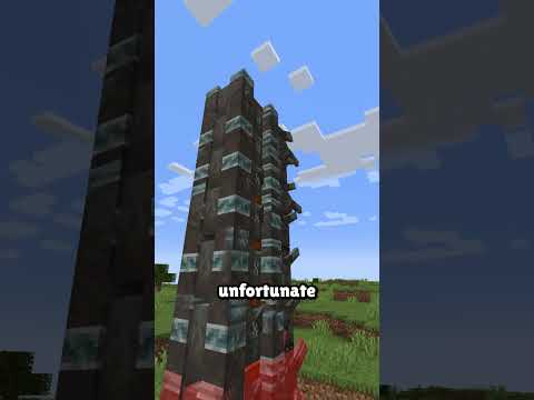 A 1/1,000,000 Minecraft Death..