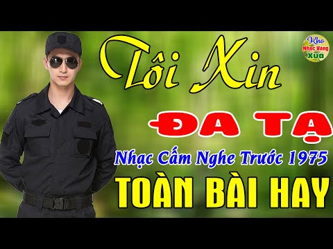 Tôi Xin Đa Tạ, Lời Tình Viết Vội ✨43 Bài Nhạc Vàng Xưa KHÔNG CÓ QUẢNG CÁO Dễ Ngủ Ngọt Lịm Tim