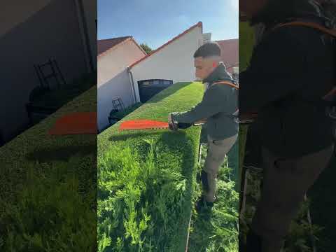 So satisfying ⚔️ #shortvideo #asmr #satisfying #satisfyingvideo #garden #workoutmotivation