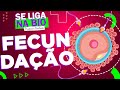 Fecundação e Desenvolvimento Embrionário