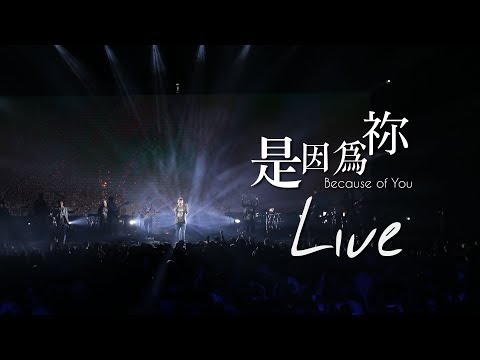 【是因為禰 / Because of You】Music Video – 約書亞樂團 ft. 趙治德