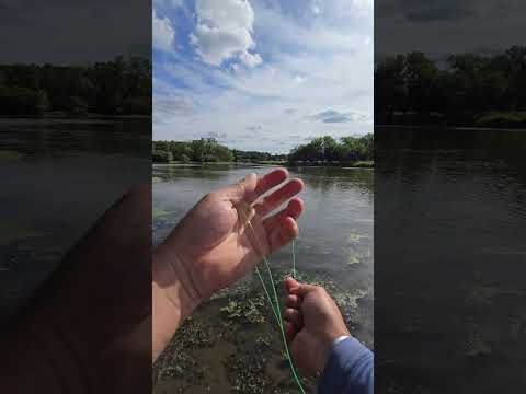 Pesca con BOTELLA y linea de mano