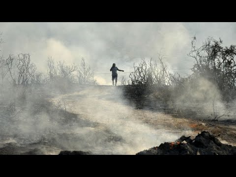 YouTube video thumbnail: Cyprus Battles Largest Wildfires in More Than 50 Years as two People Found Dead