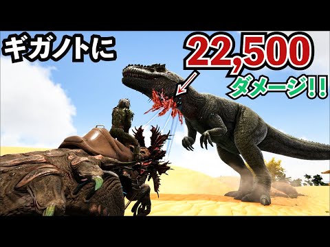【ARK】一撃22,500ダメージ!ギガノトを余裕で倒す高Lvベロナサウルスをテイムだッ!!