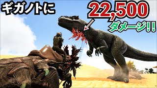 【ARK】一撃22,500ダメージ！ギガノトを余裕で倒す高Lvベロナサウルスをテイムだッ！！