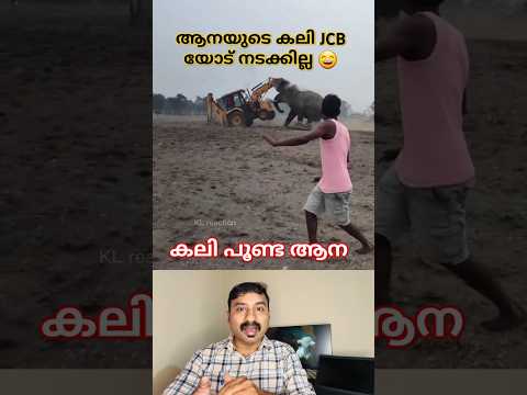 ആനയുടെ ദേഷ്യം ഇവിടെ നടക്കില്ല #elephant #jcb #attack #shortsviral #viralvideo