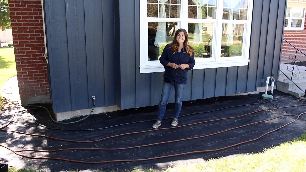 Landscape Makeover Part 2 of 4: Installing Drip Irrigation!