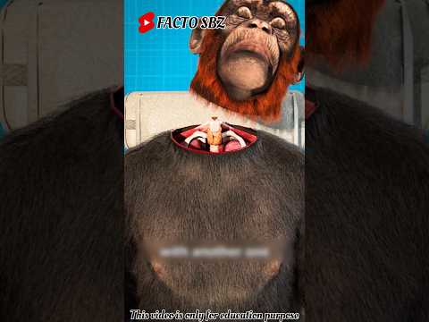 बन्दर 🐒 के सिर को दूसरे के साथ बदल दिया 😱~A doctor👨‍⚕ change a head of monkey with other monkey