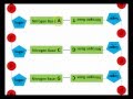 Exploring DNA Structure and Replication