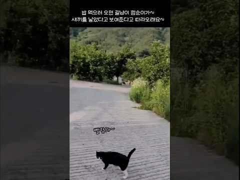 " 나 아기낳았어~ 따라와 볼래?"