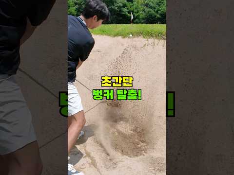 초간단 벙커 탈출 TIP! #golf #golftips