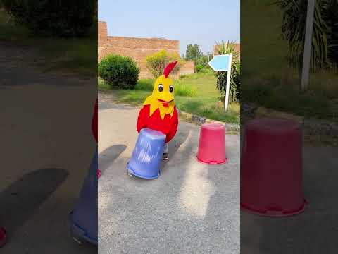 rooster 🐔🐓