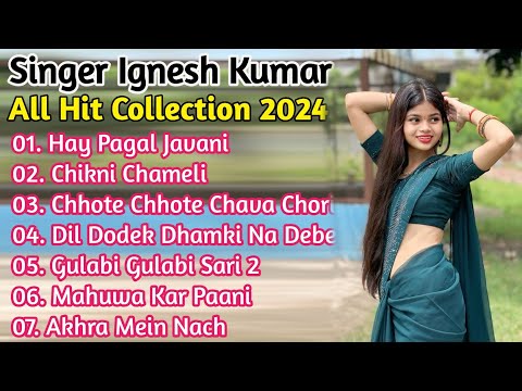 SINGER - IGNESH KUMAR KE NEW NAGPURI SONG 2024 ! TOP 10 HITS NAGPURI SONG ! NEW NAGPURI SONG 2024