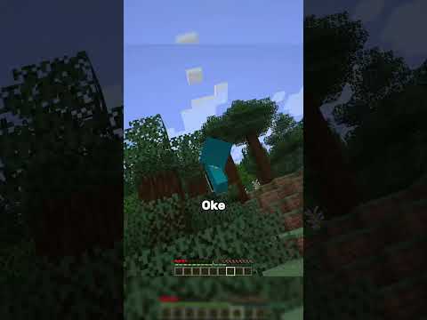 Sekarang gravitasi minecraft ku miring ke samping