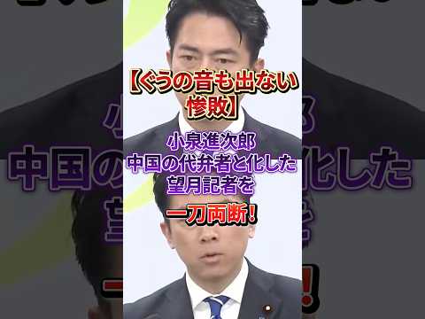 小泉進次郎、望月記者の“中国忖度質問”を徹底成敗!#小泉進次郎#望月衣塑子