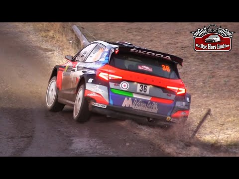 Rallye Monte-Carlo 2025 | BEST OF [MISTAKES]