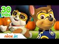 Paw Patrol Adventure Questions
