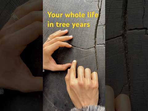 My whole life in tree years #perspective