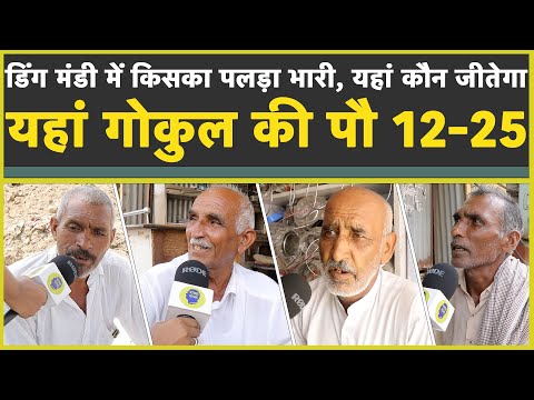 डिंग मंडी में किसका पलड़ा भारी| यहां गोकुल सेतिया की पौ 12-25| Sirsa Vidhansabha Election 2024|