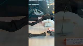 Rainy day plans = dinosaurs. 🦖 @visitRaleigh