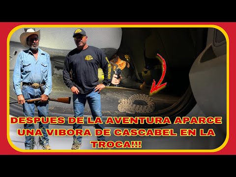 AVENTURA NÚMERO 401 SE NOS SUBE UNA SERPIENTE DE CASCABEL ADENTRO DE LA TROCA Y NOS SACA UN SUSTO