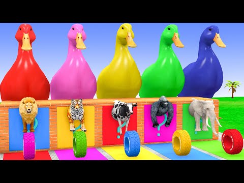 Long Slide Game With Cow Elephant Gorilla Hippopotamus Tiger 3d Animal Game Funny 3d Animals