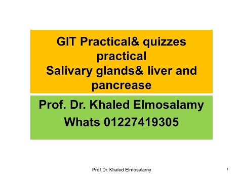 GIT histology  GIT Practical& quizzes practicalSalivary glands& liver and pancrease= histology
