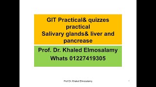 GIT histology  GIT Practical& quizzes practicalSalivary glands& liver and pancrease= histology