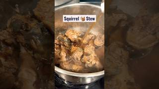 Squirrel 🐿️ Stew 🍲