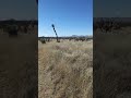 Exploring Life and Positivity in Arizona