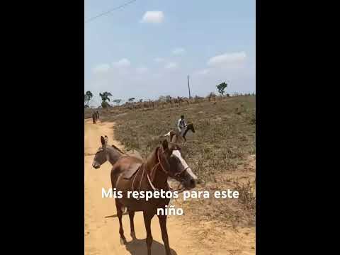 Así se amansan los broncos mis respetos para este niño
