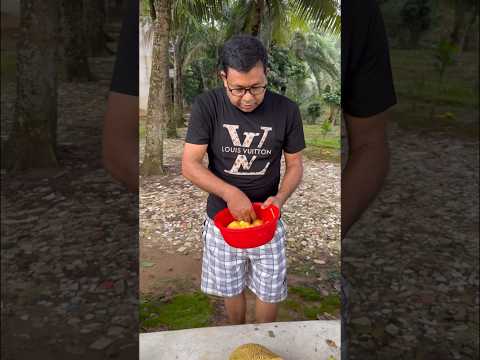 নিজের গাছের কাঁঠাল পেড়ে খেলাম। #monir_khan #shortmusic #shorts #onjona #mkmusic24
