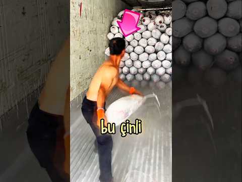 Çinli Ustanın SARI KOLA Mücadelesi 🤣❕️