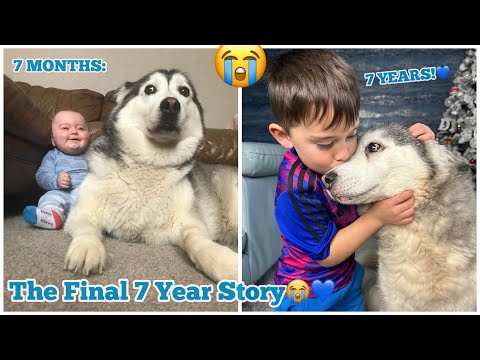 The Final Full 7 Year Story Of My Baby & Husky Becoming Best Friends!😭💖. Fly High Millie. [THE END]