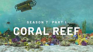 FitXR | Season 7 Part 1: "Coral Reef" Meta Quest Virtual World