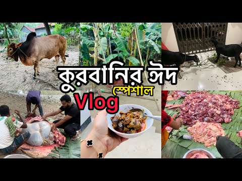 আলহামদুলিল্লাহ কুরবানির প্রথম তবারক রান্না //গ্রামের কুরবানীর ঈদ #eiduladha2025  #eiduladha