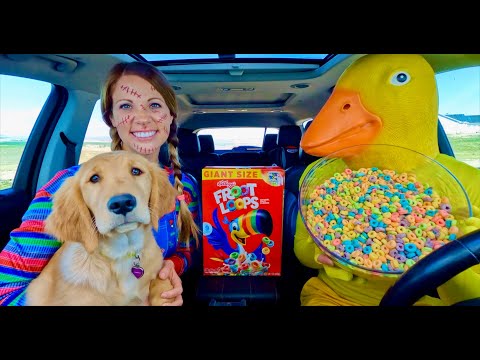 Rubber Ducky Surprises Chucky & Golden Retriever With Car ride Chase!