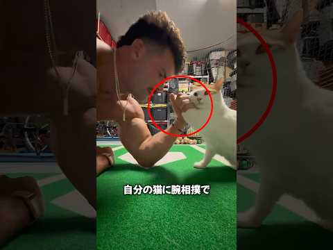 猫と腕相撲😳