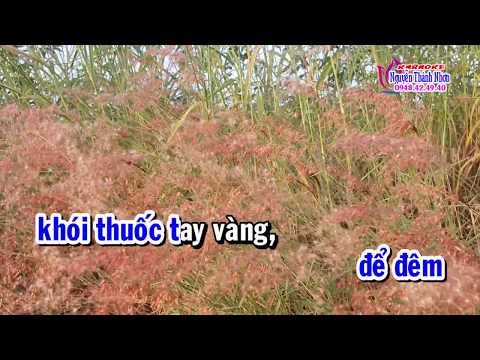 Karaoke BÔNG CỎ MAY – TONE NAM [ Beat hay]