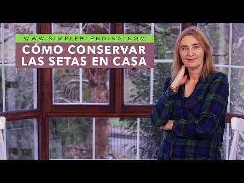 AHORA SABRÁS CÓMO CONSERVAR LOS CHAMPIÑONES | La mejor forma de conservar champiñones