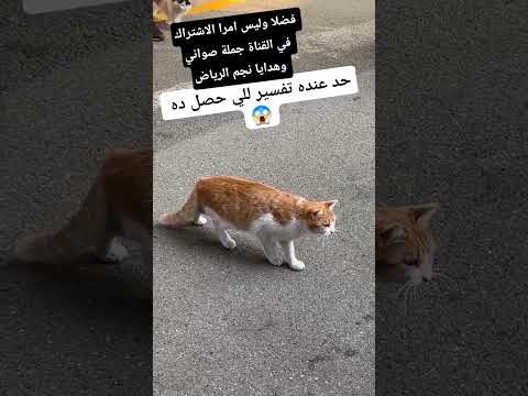 #سبحان_الله #لايك #اشتراك #اكسبلور #نجم_الرياض #هدايا