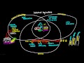 Industrial Agriculture Concepts and Issues