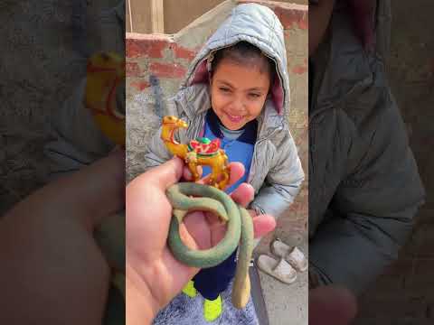 تاخد الجمل ولا الثعبان 🐍🐫🐪