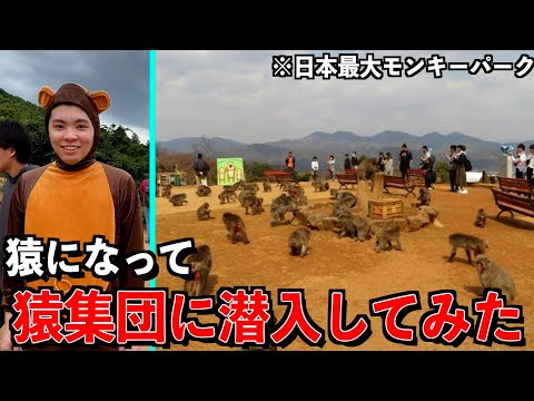 【潜入】猿になってモンキーパークに紛れ込んだら面白すぎたwww