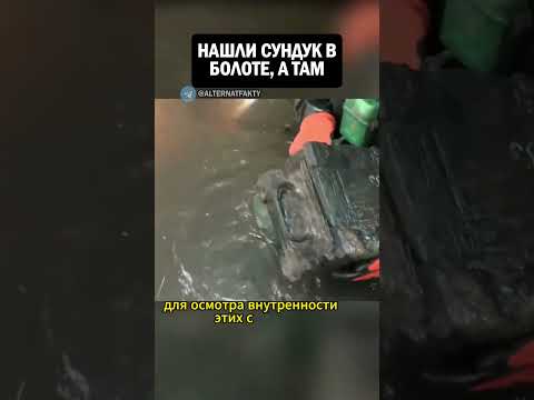 Нашли сундук в болоте