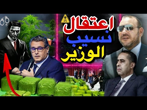 الاتجار الدولي في المخدرات يطيح بصهر وزير في حكومة أخنوش 😱🚨