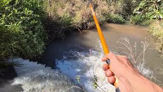 FUI NOS MELHORES OJNTIS DE PESCA, MÁS NÃO ACREDITEI QUE ISSO ACONTECEU!!!